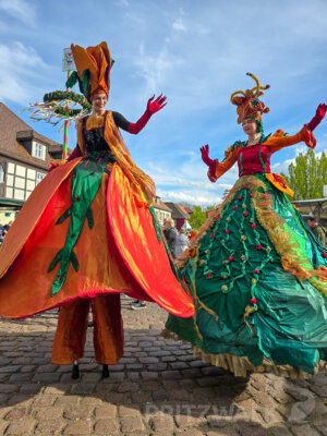 Foto des Albums: Sonniges Frühlingserwachen lockte Hunderte in die Innenstadt