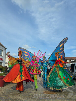 Foto des Albums: Sonniges Frühlingserwachen lockte Hunderte in die Innenstadt