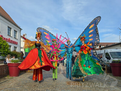 Foto des Albums: Sonniges Frühlingserwachen lockte Hunderte in die Innenstadt