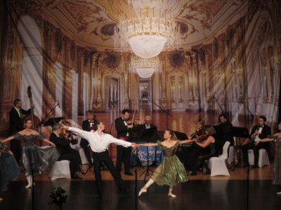 Foto des Albums: Strauß-Operettengala