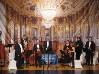 Foto des Albums: Strauß-Operettengala
