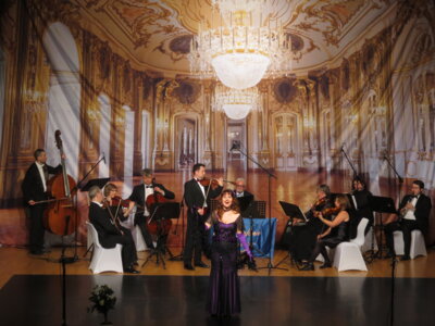 Foto des Albums: Strauß-Operettengala