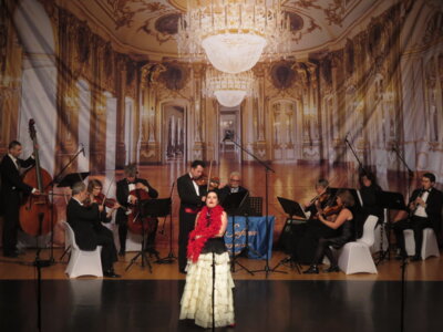 Foto des Albums: Strauß-Operettengala