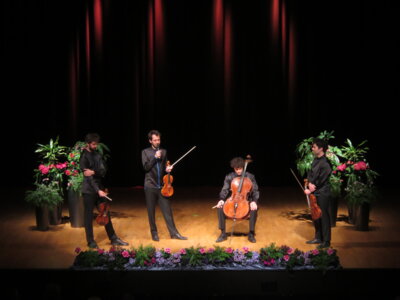 Foto des Albums: vision string quartet