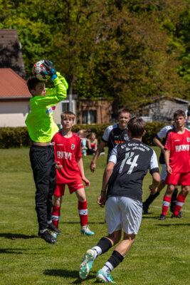 Foto des Albums: B Junioren vs Grün Weiß Bergfelde