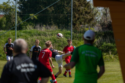 Foto des Albums: B Junioren vs Grün Weiß Bergfelde