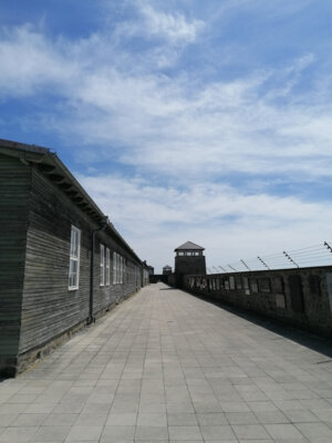 Foto des Albums: 2024_04_Mauthausen