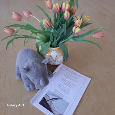 Foto des Albums: Rezitationswettbewerb 2024