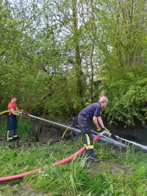 Foto des Albums: Schlickspülen an der Fähre Kronsnest
