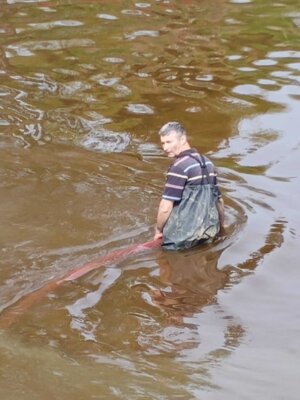 Foto des Albums: Schlickspülen an der Fähre Kronsnest