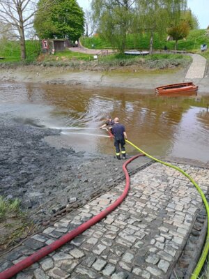 Foto des Albums: Schlickspülen an der Fähre Kronsnest