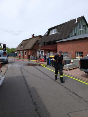 Foto des Albums: Schlickspülen an der Fähre Kronsnest