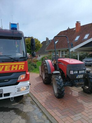 Foto des Albums: Schlickspülen an der Fähre Kronsnest