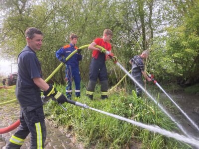 Foto des Albums: Schlickspülen an der Fähre Kronsnest