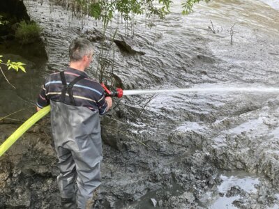 Foto des Albums: Schlickspülen an der Fähre Kronsnest