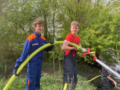 Foto des Albums: Schlickspülen an der Fähre Kronsnest
