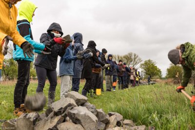 Foto des Albums: Biotopbrücke Bieberach