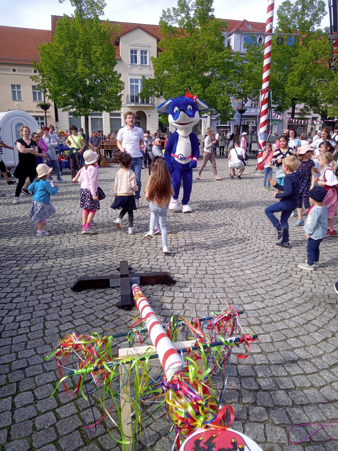Bild der Galerie