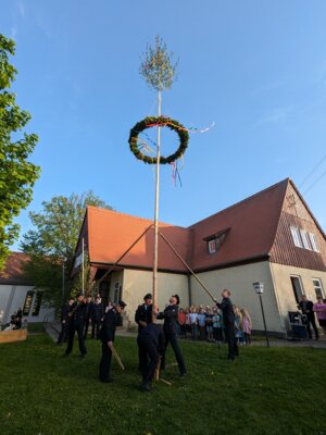 Foto des Albums: Tanz & Gesang rund um den Maibaum