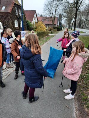 Foto des Albums: Müllsammelaktion 2024