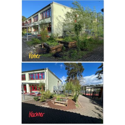 Foto des Albums: Helfende Hände