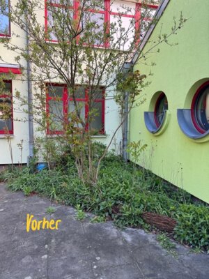 Foto des Albums: Helfende Hände