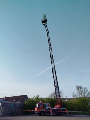 Foto des Albums: Maifest