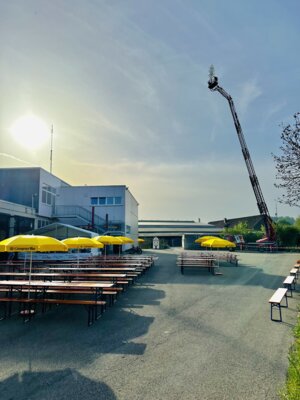 Foto des Albums: Maifest