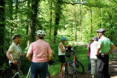 Im D&uuml;hlholz  (Bild vergr&ouml;&szlig;ern)