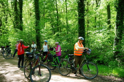 Pause im D&uuml;hlholz  (Bild vergr&ouml;&szlig;ern)