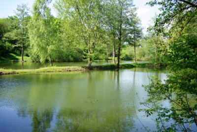 Wilhelmsdorfer Fischteiche  (Bild vergr&ouml;&szlig;ern)