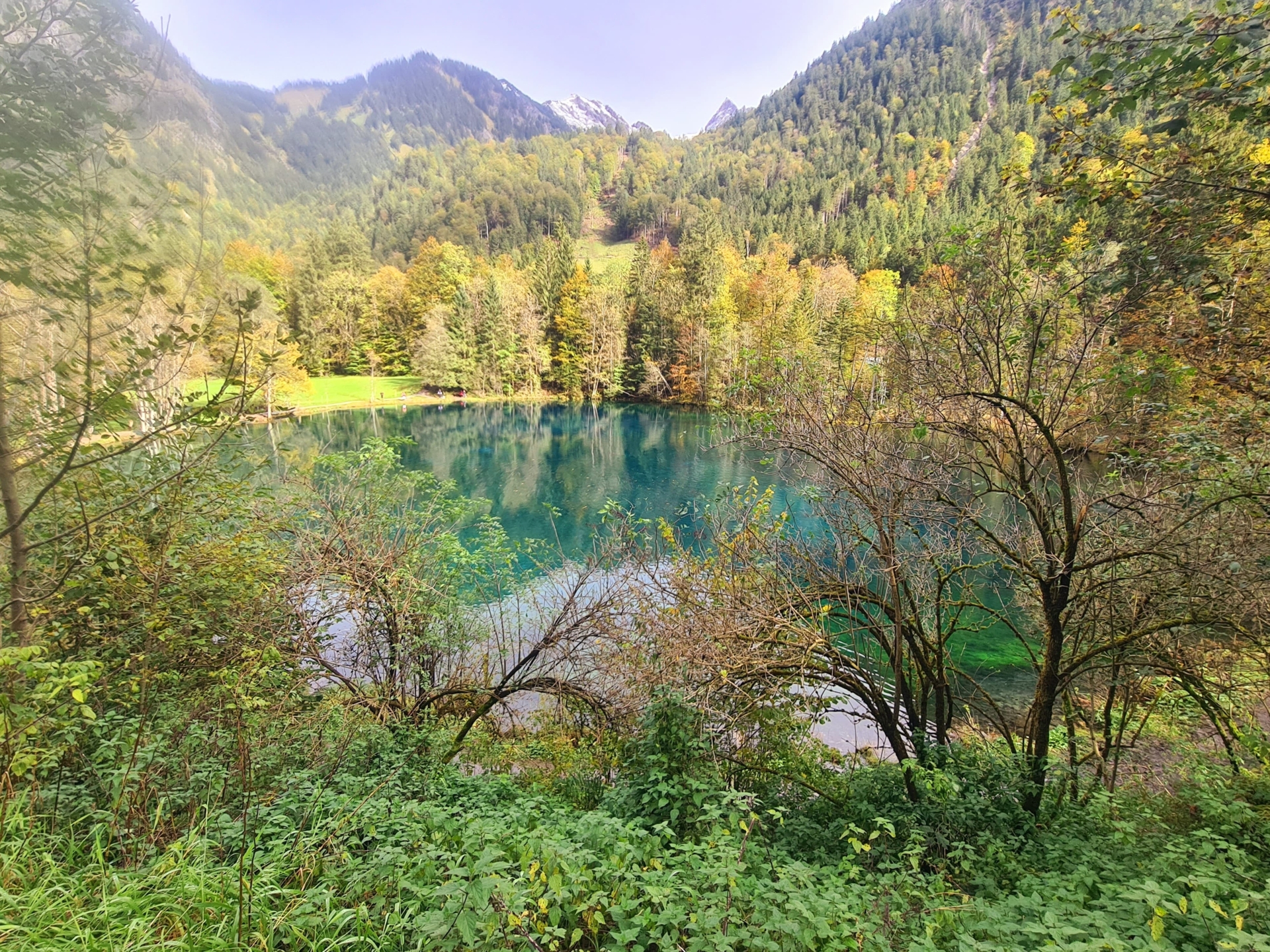 Bild: christelsee