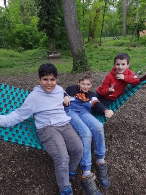 Foto des Albums: Schullandheim Klassen 4 2024