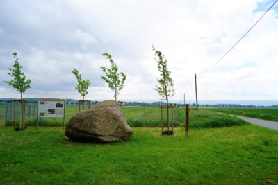Koloss von Ostermunzel  (Bild vergr&ouml;&szlig;ern)