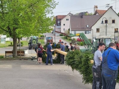 Vorschaubild: Maibaumaktion 1
