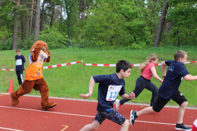 Foto des Albums: Sportivationstag 2024