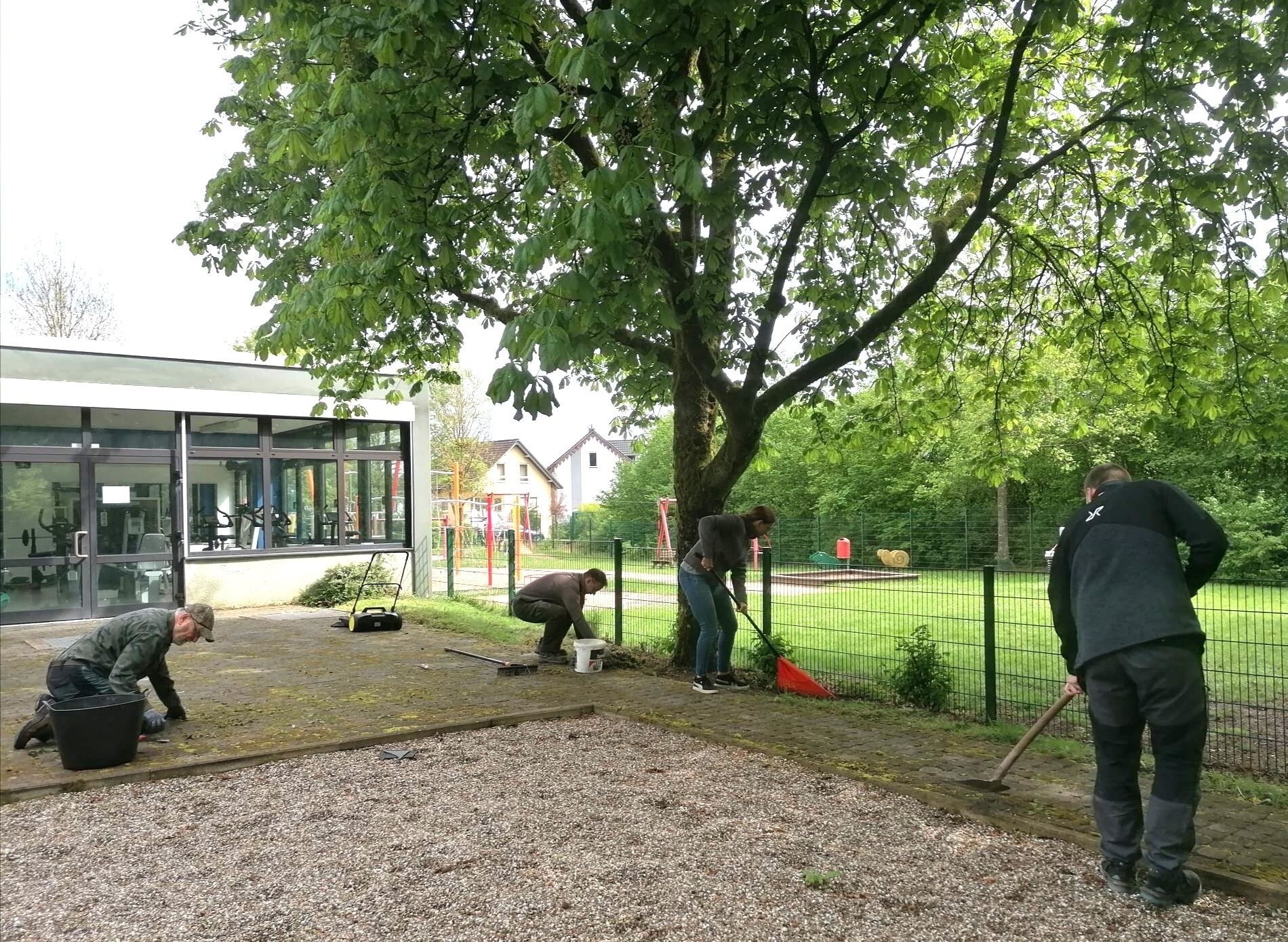 Bild der Galerie