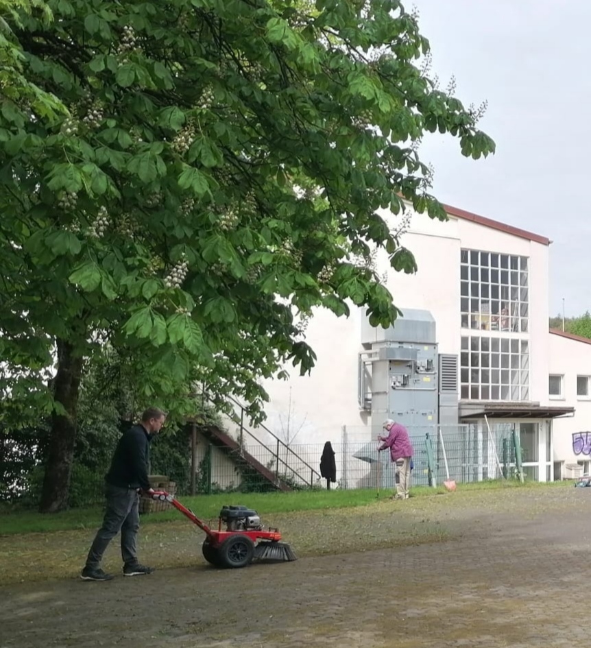 Bild der Galerie