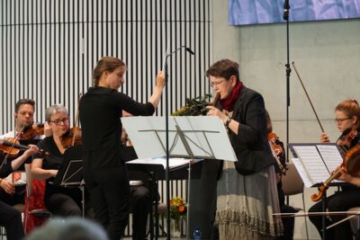 ZDM Collegium Bianka Schubert 2 