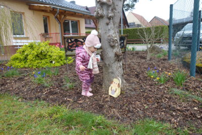 Foto des Albums: Osterfest bei den Dorfspatzen (03. 04. 2024)