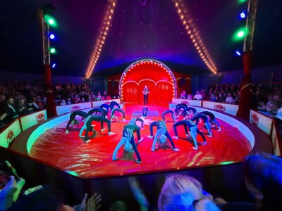 Foto des Albums: Zirkusprojekt mit dem Zirkus Fellini