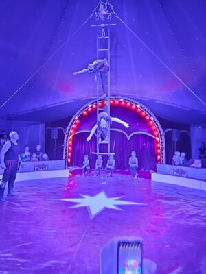 Foto des Albums: Zirkusprojekt mit dem Zirkus Fellini