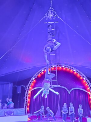 Foto des Albums: Zirkusprojekt mit dem Zirkus Fellini