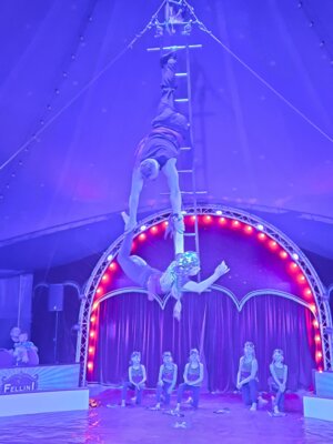 Foto des Albums: Zirkusprojekt mit dem Zirkus Fellini