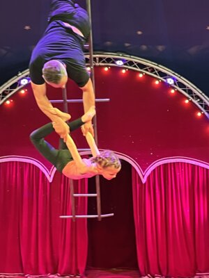 Foto des Albums: Zirkusprojekt mit dem Zirkus Fellini