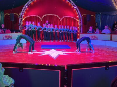Foto des Albums: Zirkusprojekt mit dem Zirkus Fellini