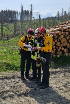 Foto des Albums: Stabsübung mit Waldbrandteam