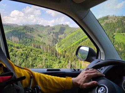 Foto des Albums: Stabsübung mit Waldbrandteam