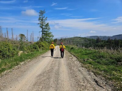 Foto des Albums: Stabsübung mit Waldbrandteam