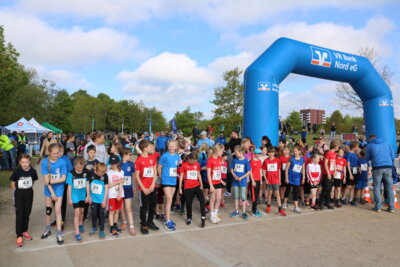 Foto des Albums: 36.Schleswiger VR Bank Stadtlauf (14. 05. 2024)